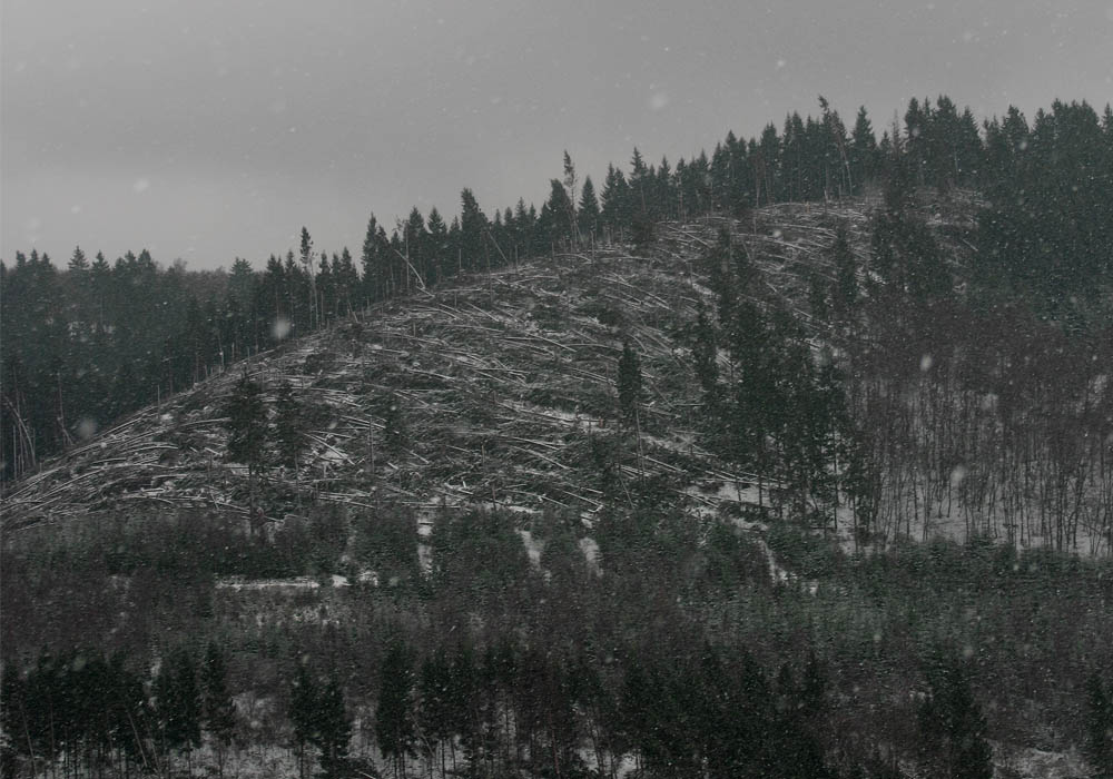 Sturm im Sauerland