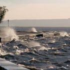 Sturm im Wasserglas