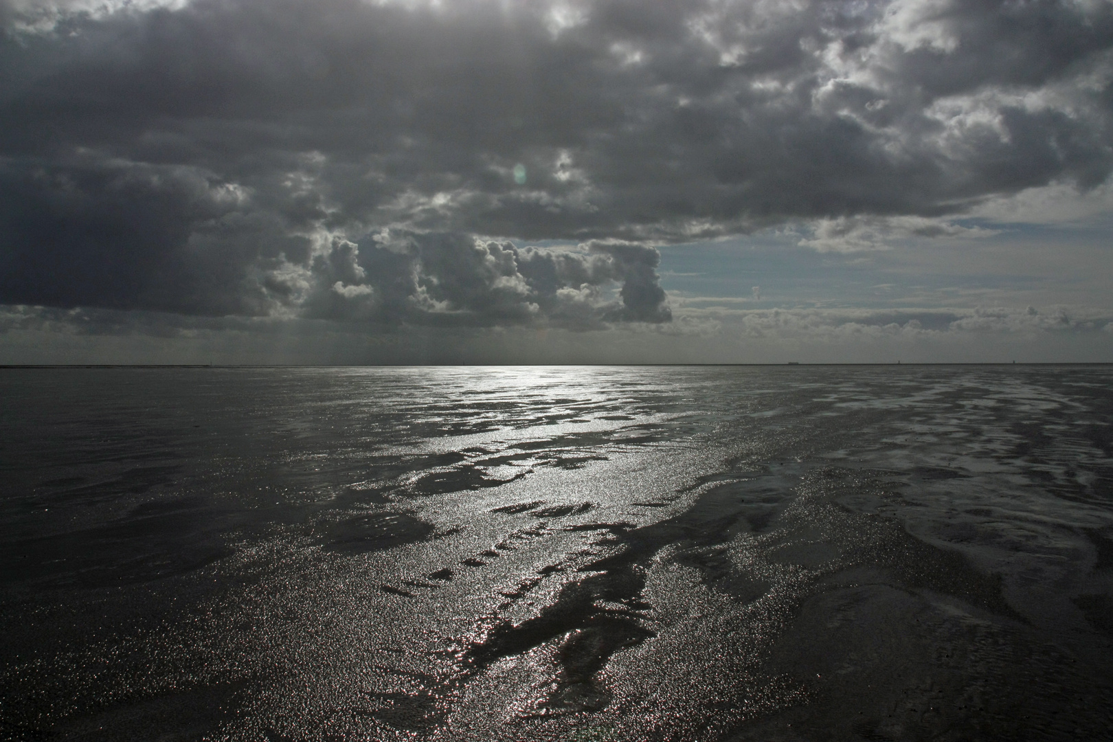 Sturm im Watt