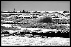 Sturm in Ahrenshoop /2.