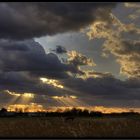 Sturm in Brandenburg