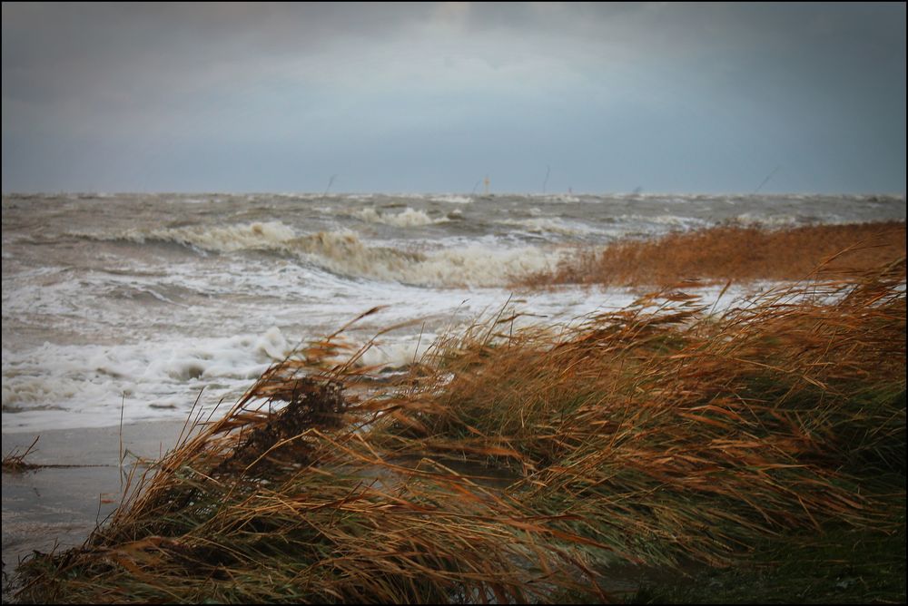 Sturm in Bremerhaven