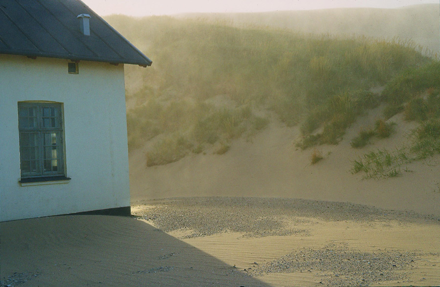 Sturm in den Dünen II