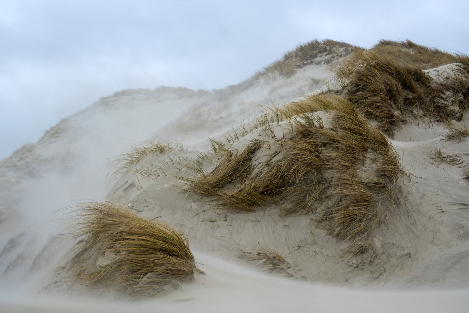 Sturm in der Düne