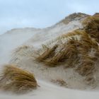 Sturm in der Düne