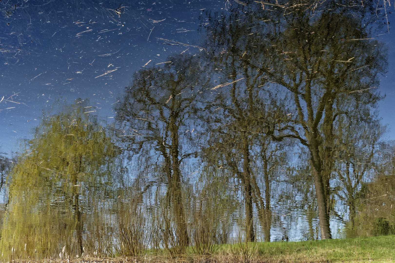 Sturm in der Spiegelwelt