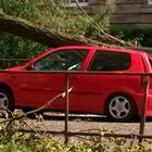 Sturm in Düsseldorf ...... ein windiger Abend