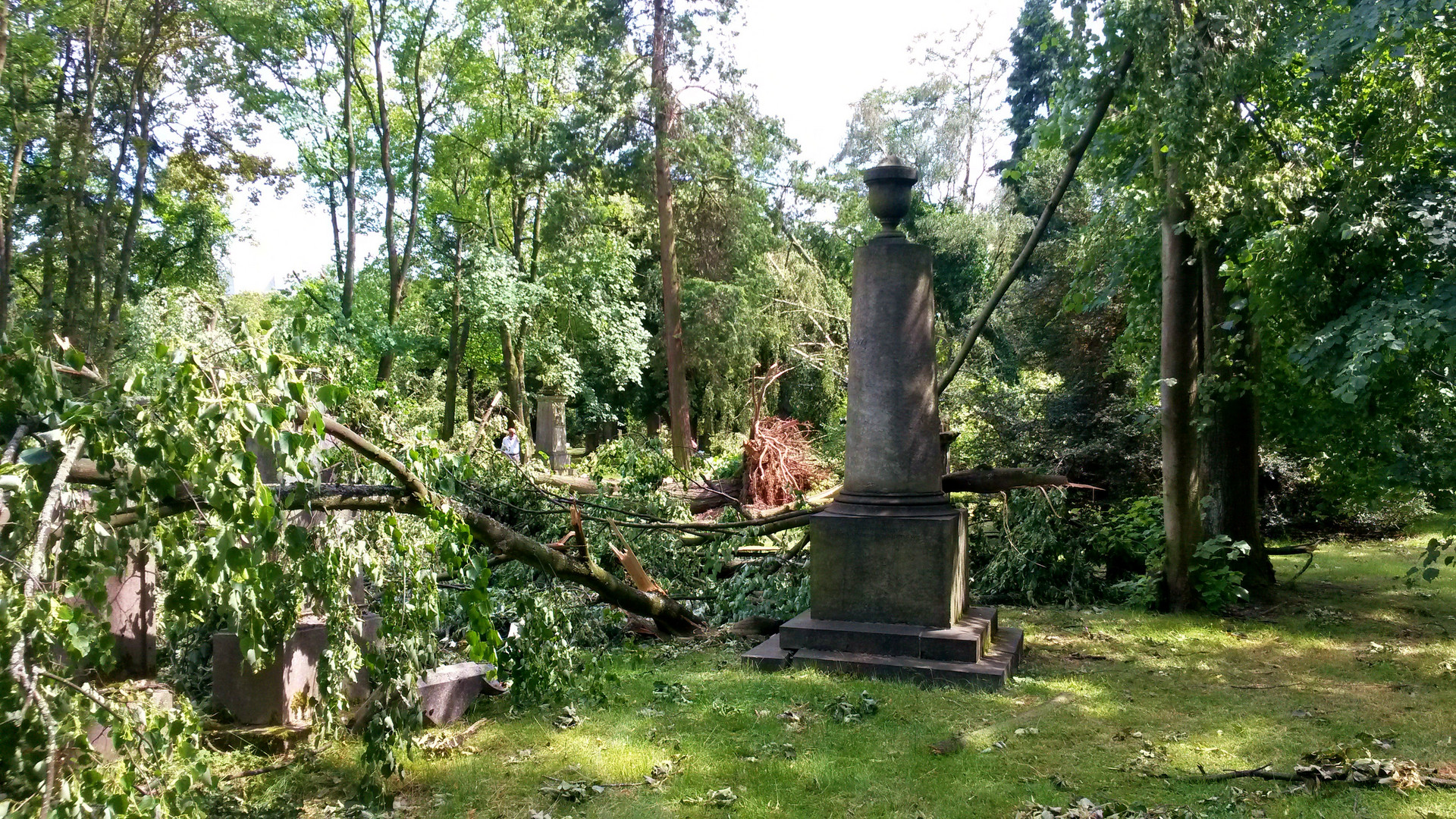 Sturm in Düsseldorf....ein windiger Abend....4