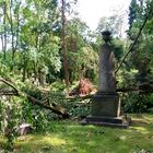 Sturm in Düsseldorf....ein windiger Abend....4