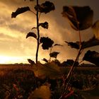 Sturm in Sicht