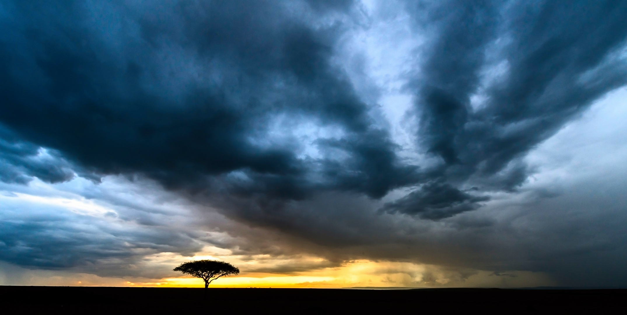 Sturm kommt auf in der Serengti