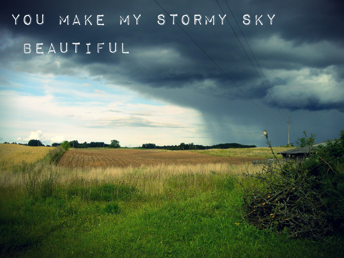 Sturm kommt... ''You make my stormy sky beautiful''