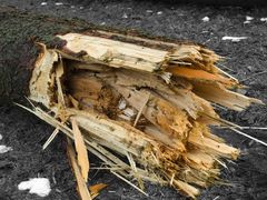 Sturm Kyril brachte Farbe ins Schwarz-Weiß