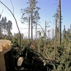 Sturm Kyrill im Thüringer Wald