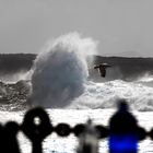 Sturm / Lanzarote