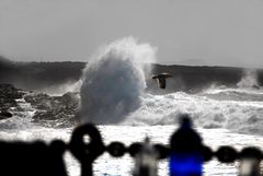 Sturm / Lanzarote