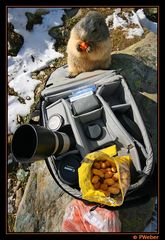 Sturm meines Fotorucksacks