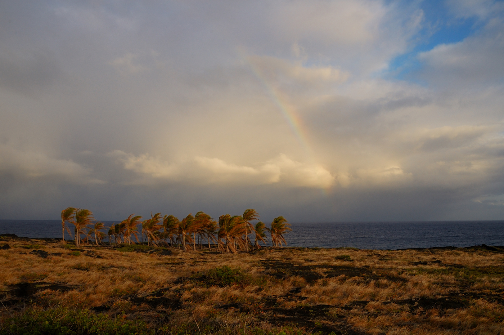 Sturm, Regen, Sonnen ... Regenbogen!