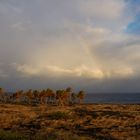 Sturm, Regen, Sonnen ... Regenbogen!