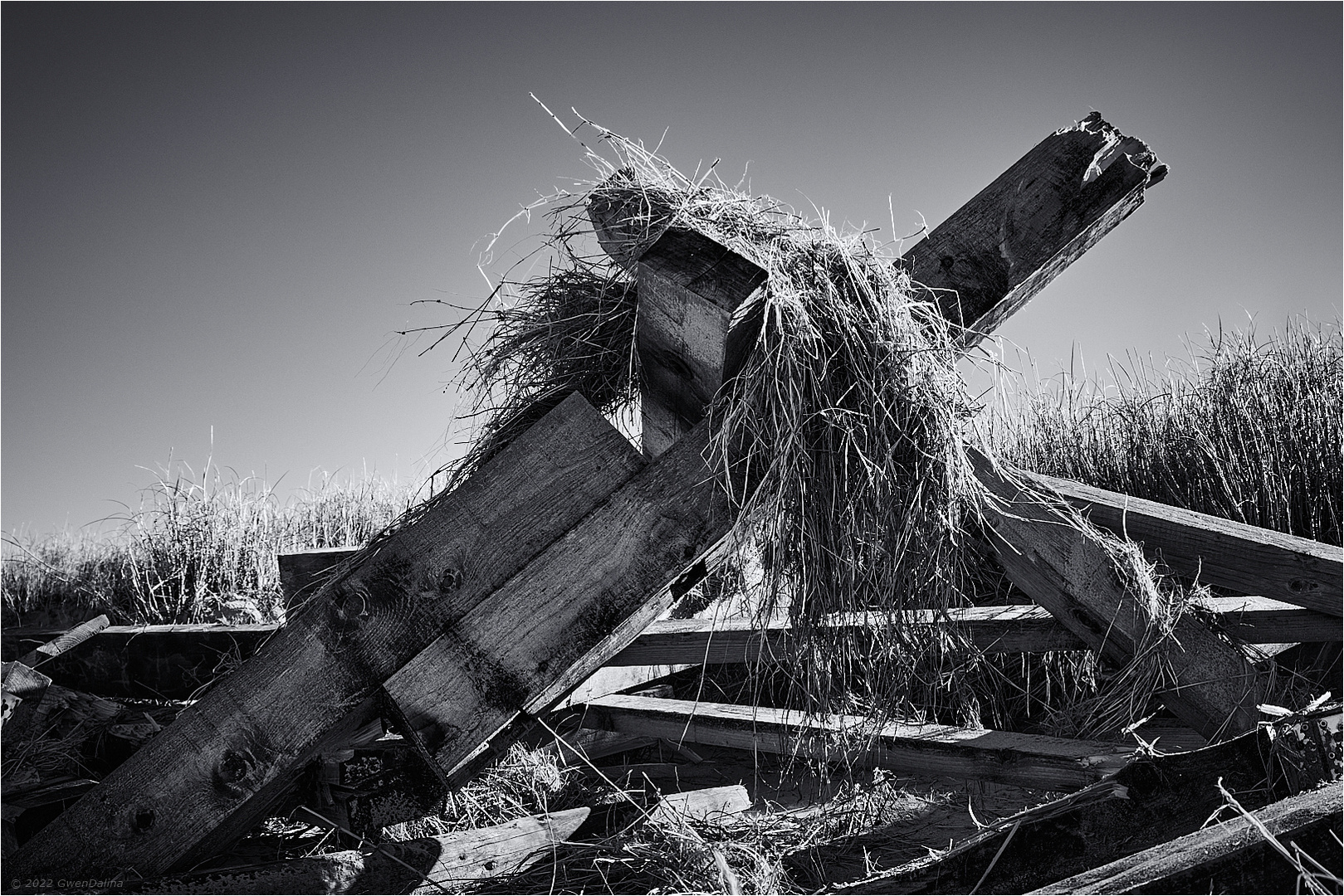 ::: Sturm | Schäden :::