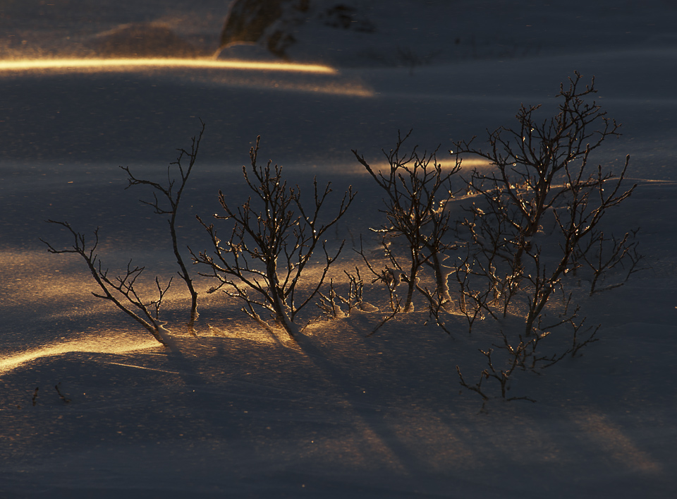 Sturm & Schatten