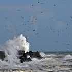 STURM TAGE Helgoland 