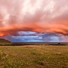 Sturm über der Masai Mara