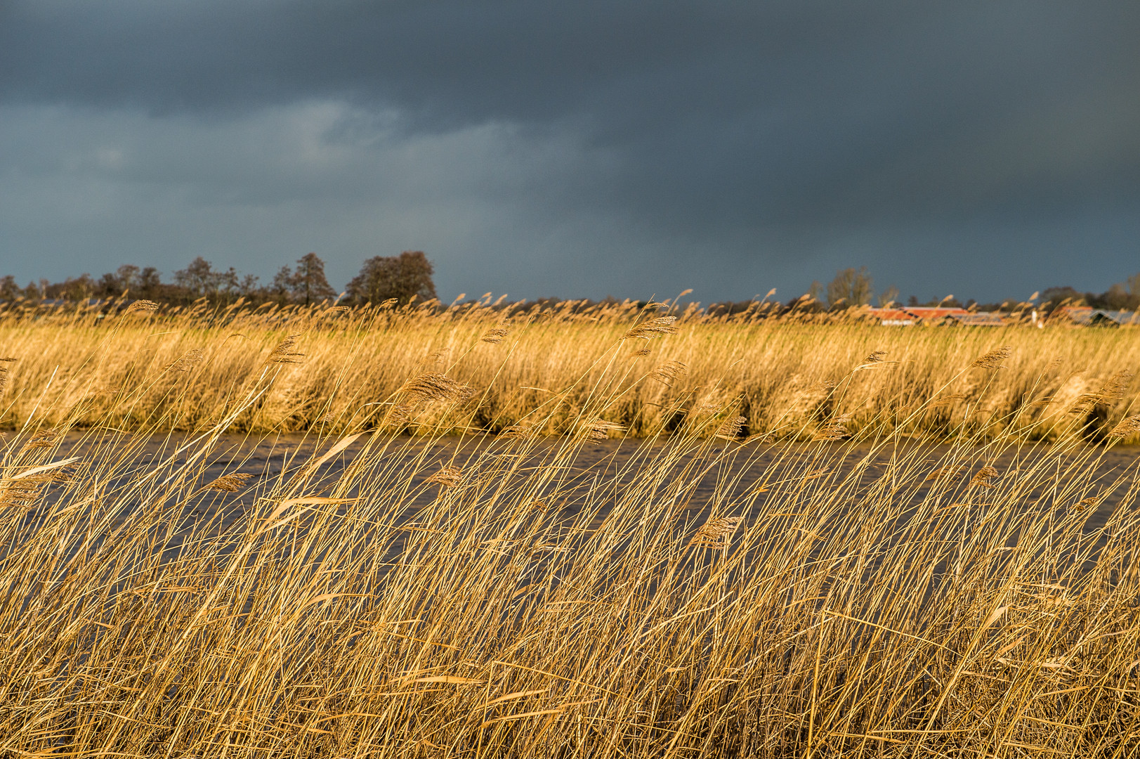 Sturm über Ostfriesland 4