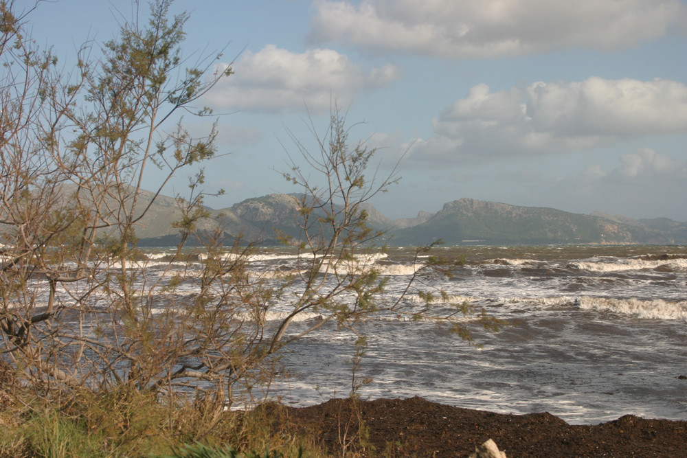 Sturm und Drang