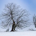 Sturm und Kälte wiederstehend