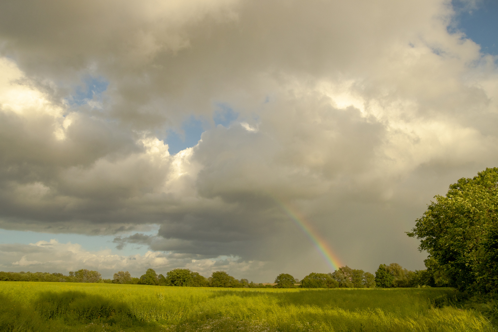 Sturm und Regen