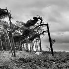 Sturm und Regen am Strand