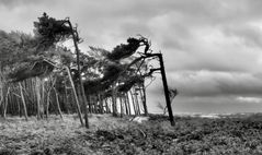 Sturm und Regen am Strand