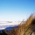 Sturm und Sonne pur am 02. Januar 2019 in Zingst