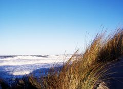 Sturm und Sonne pur am 02. Januar 2019 in Zingst