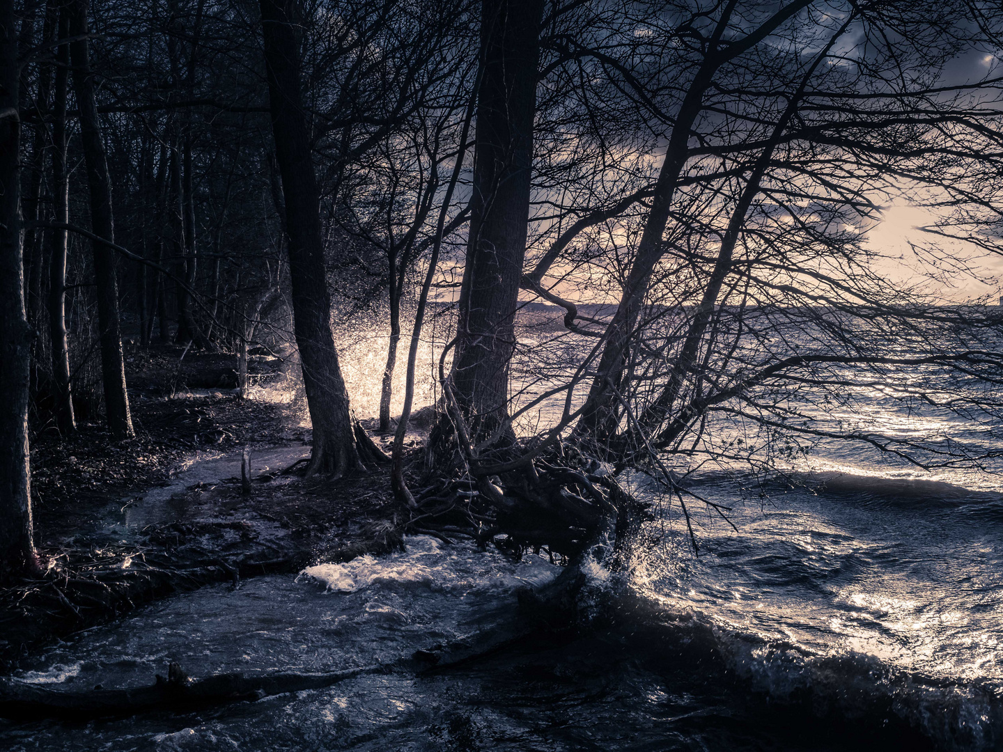 Sturm und Wellen am Müggelsee