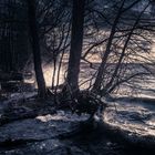 Sturm und Wellen am Müggelsee