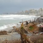 Sturm vor Alexandria