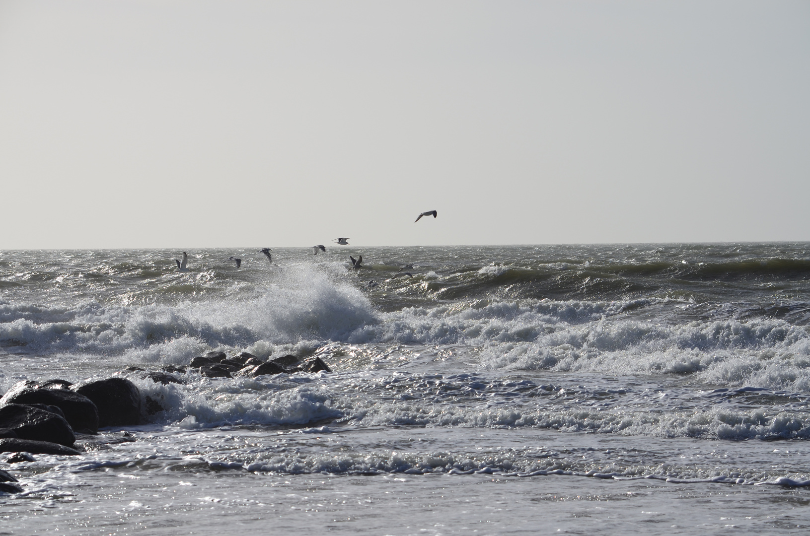 Sturm wenn die Möwen schreien