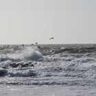 Sturm wenn die Möwen schreien