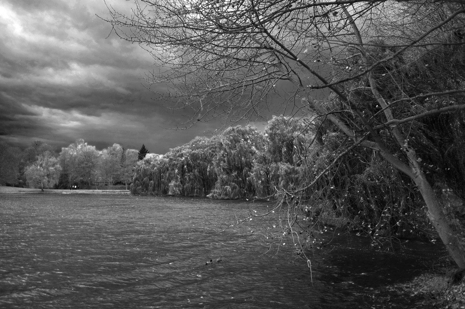 Sturm zieht auf