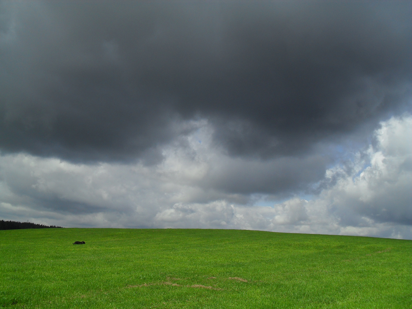 sturm zieht auf