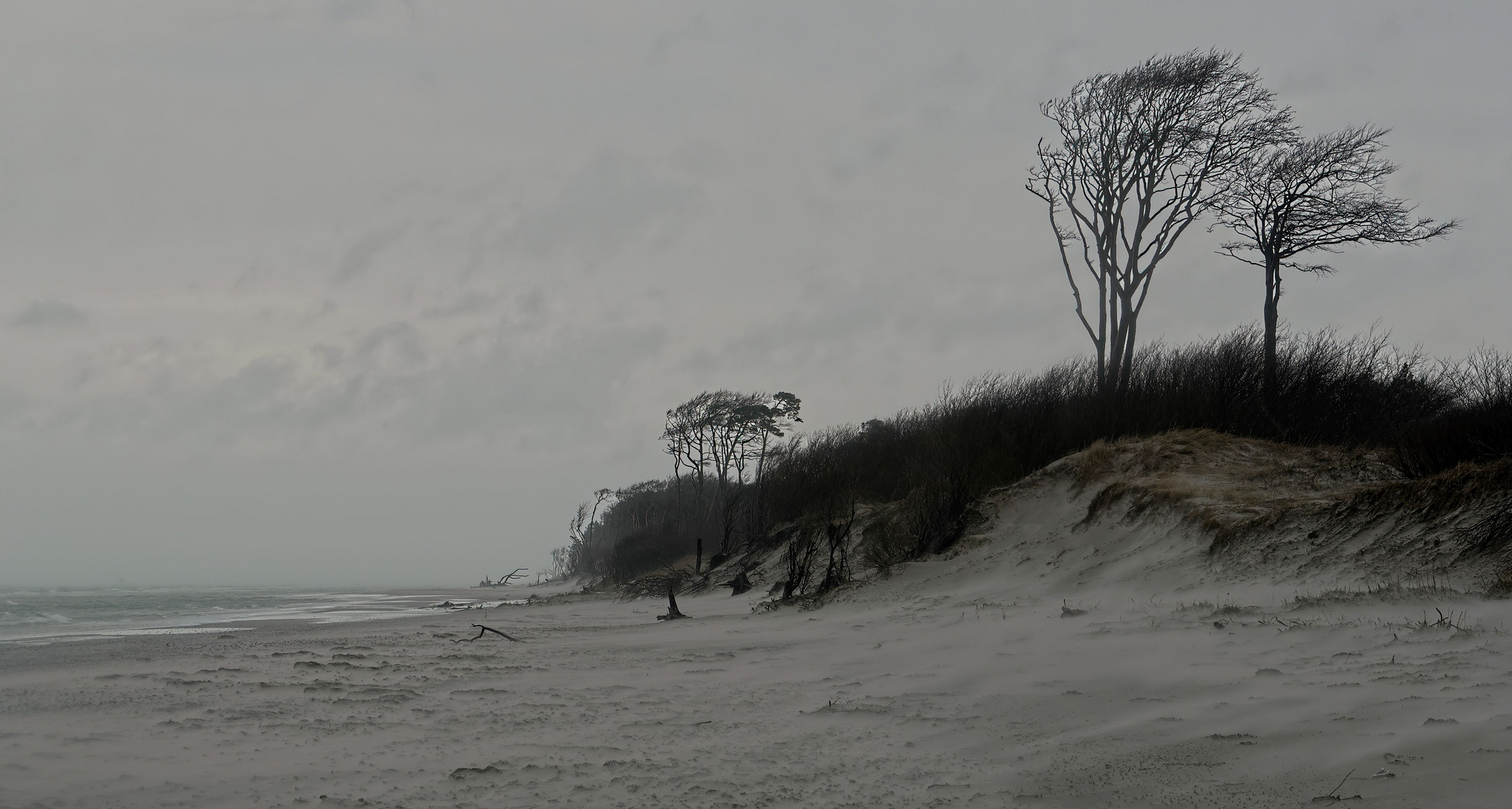 Sturmböen am Weststrand