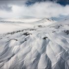 Sturmbraus im Dovrefjell