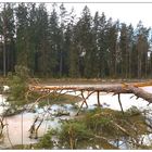 Sturmfolgen im gefrorenen Teich