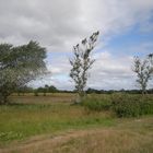 sturmgepeitschte Landschaft an der Schlei