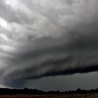 Sturmjagd im Münsterland