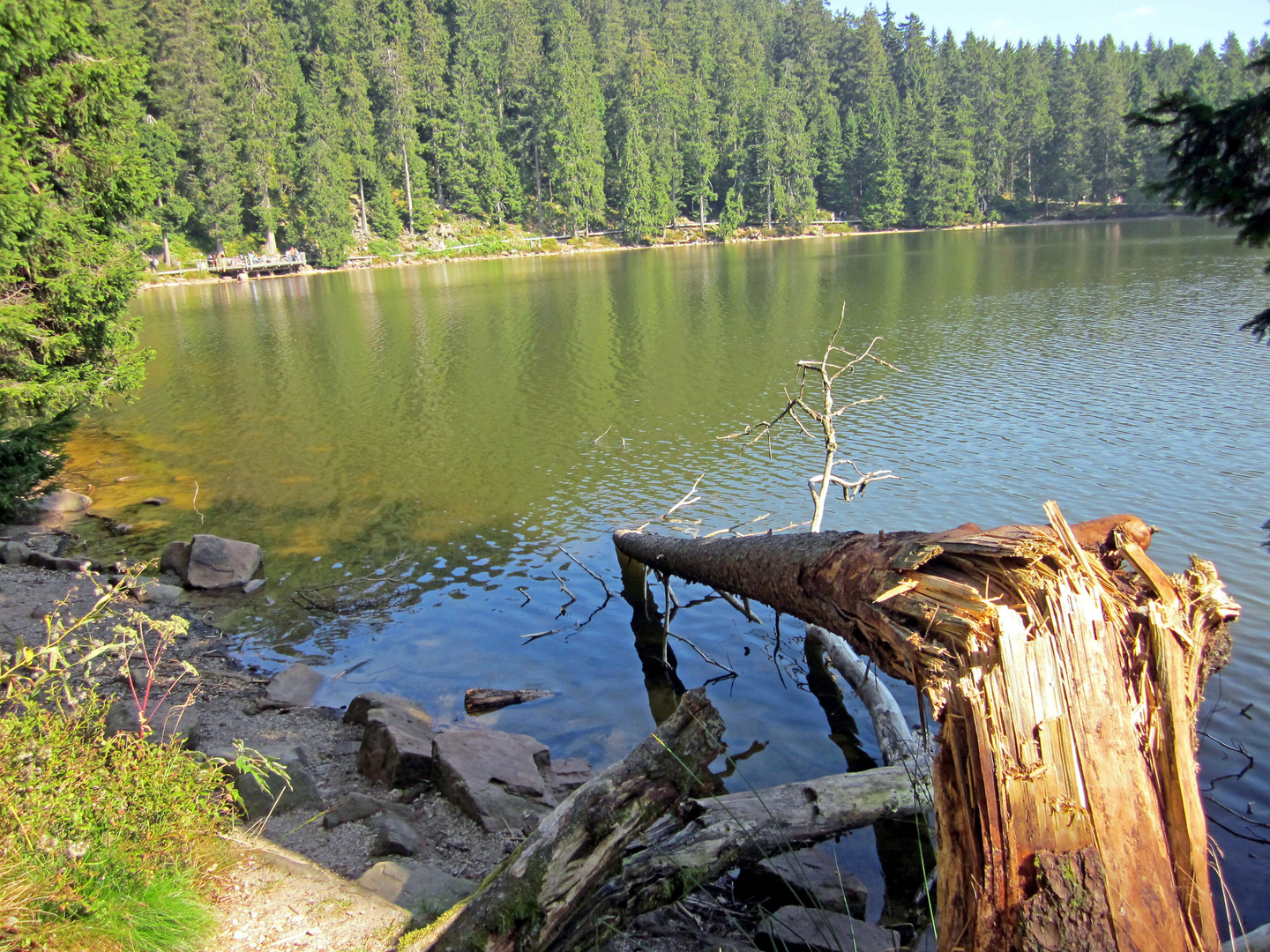 Sturmopfer am Mummelsee