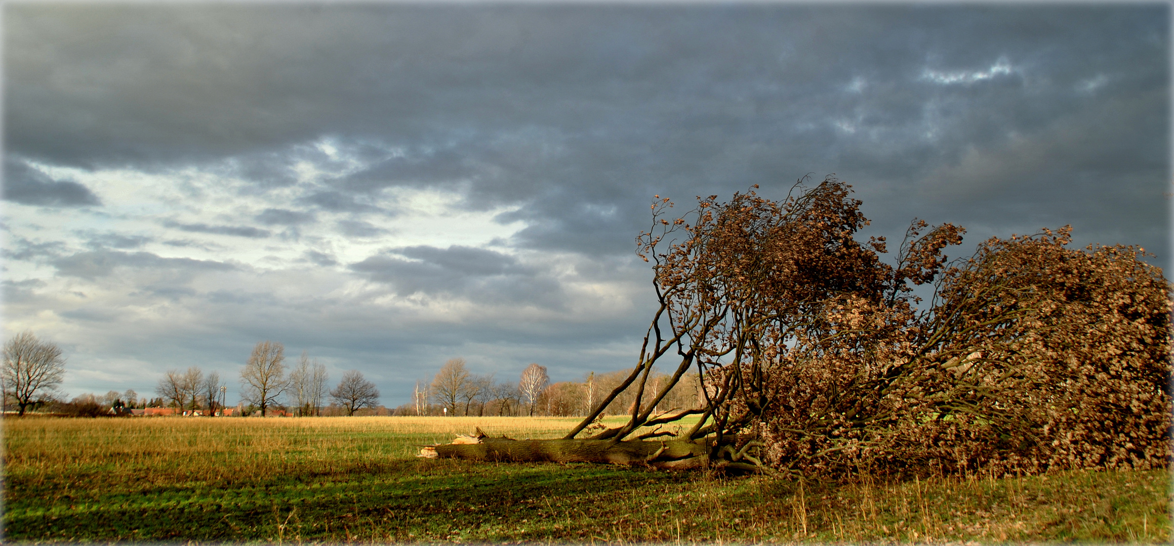 Sturmschaden