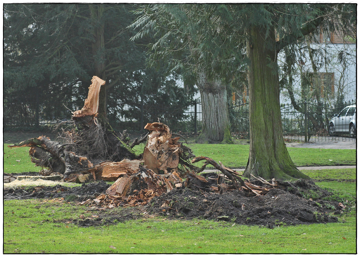 Sturmschaden auch im Schlosspark